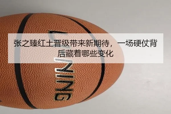 张之臻红土晋级带来新期待，一场硬仗背后藏着哪些变化
